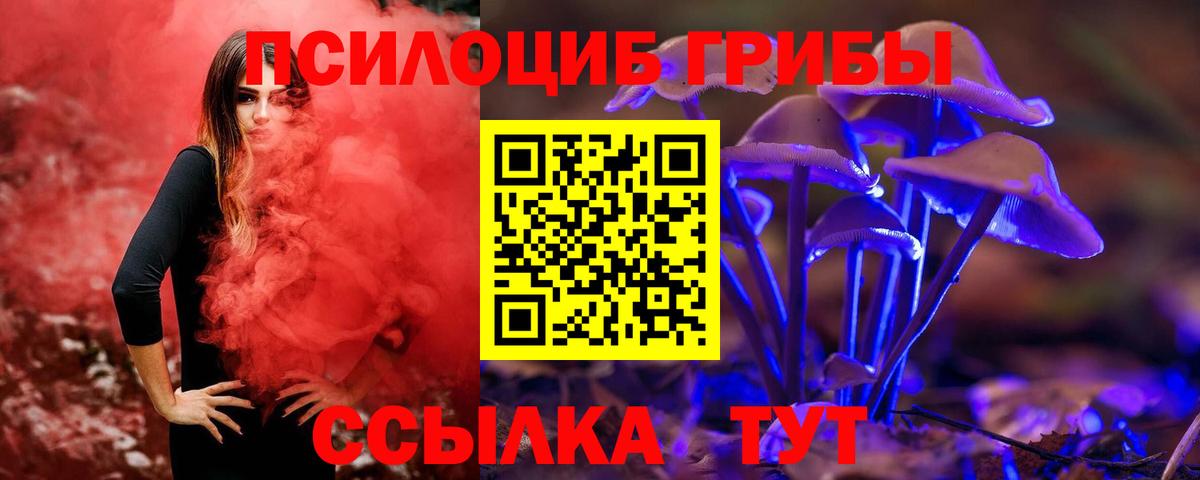 Абакан  Галлюциногенные грибы MAGIC MUSHROOMS  купить наркотик  Псилоцибиновые грибы Psilocybine cubensis  Вход с VPN 