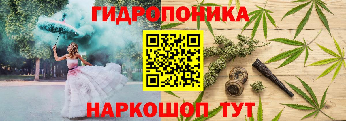 Канабис планчик Абакан